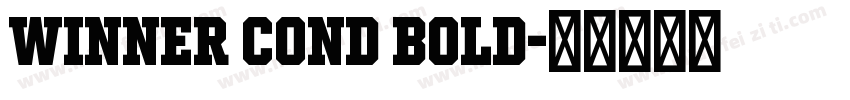 Winner Cond Bold字体转换